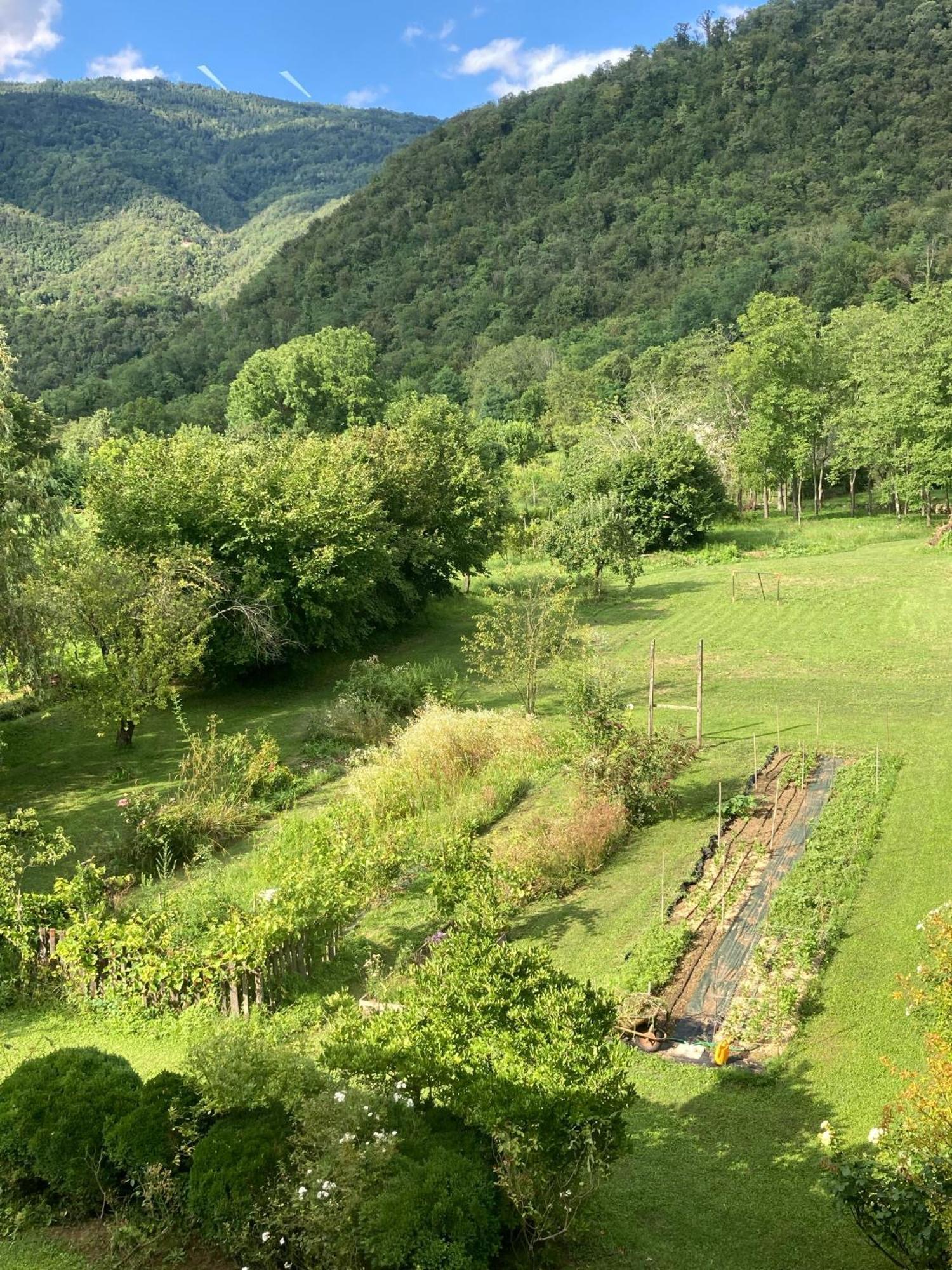 Casa Del Grivo - Alloggio Sole Faedis Exteriör bild