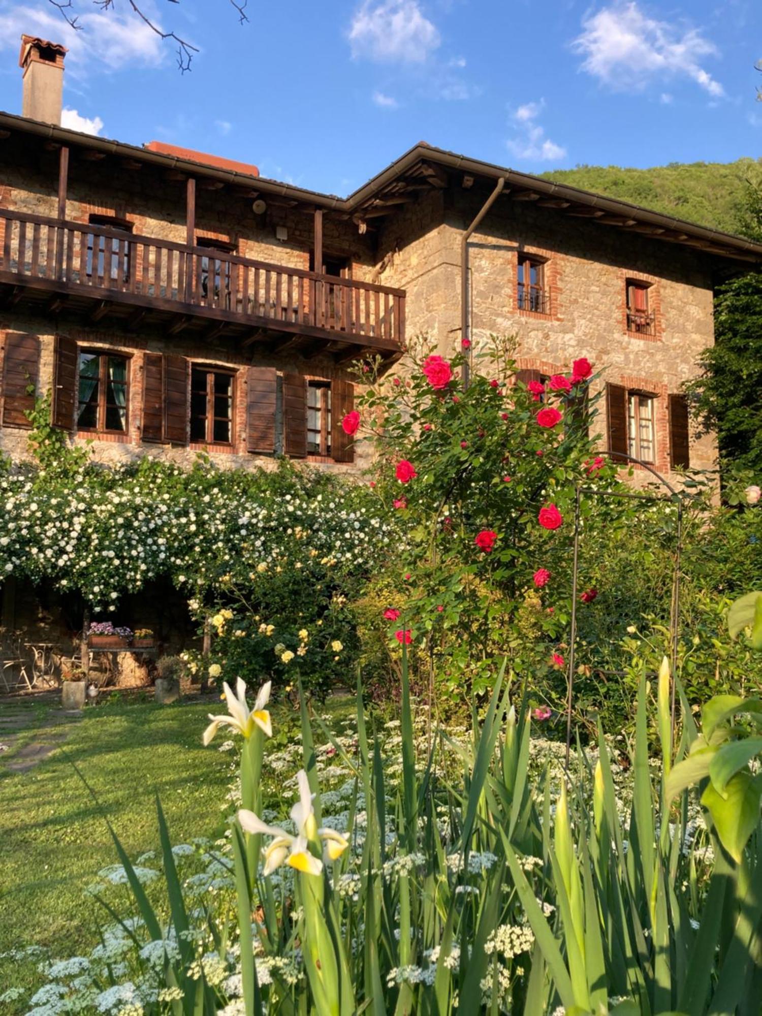 Casa Del Grivo - Alloggio Sole Faedis Exteriör bild